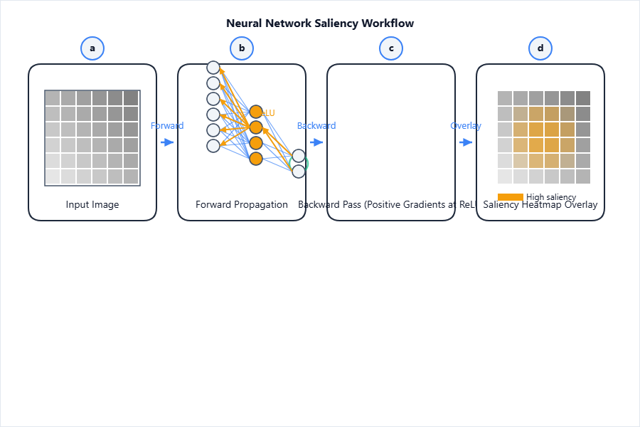 Workflow showing (a) input, (b) forward propagate, (c) backw